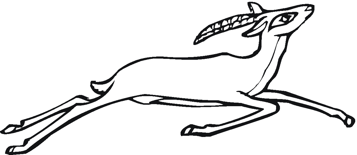 Antylopa, gazela, gnu kolorowanki